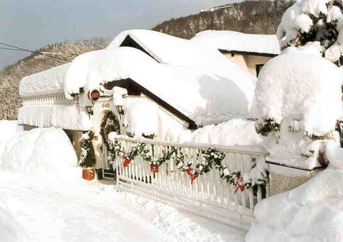 Penzion Ok Svoboda nad Úpou Dış mekan fotoğraf