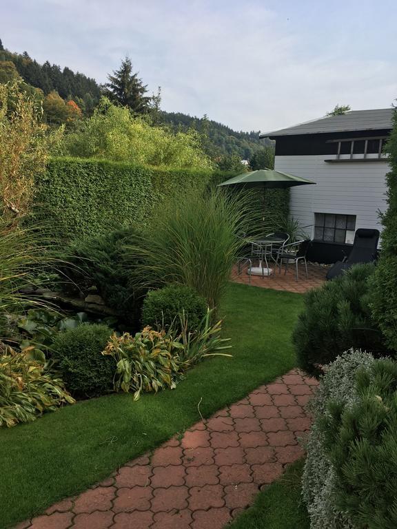 Penzion Ok Svoboda nad Úpou Dış mekan fotoğraf