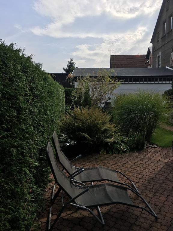 Penzion Ok Svoboda nad Úpou Dış mekan fotoğraf